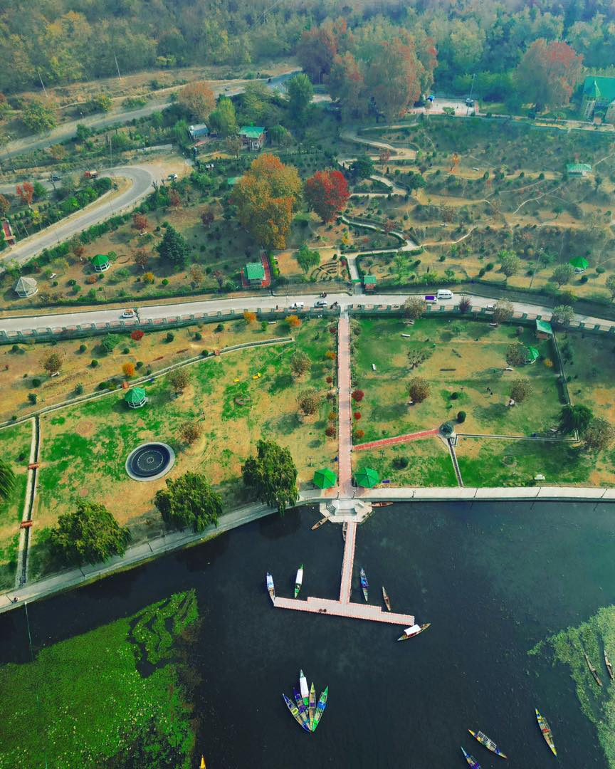 Tulip Garden