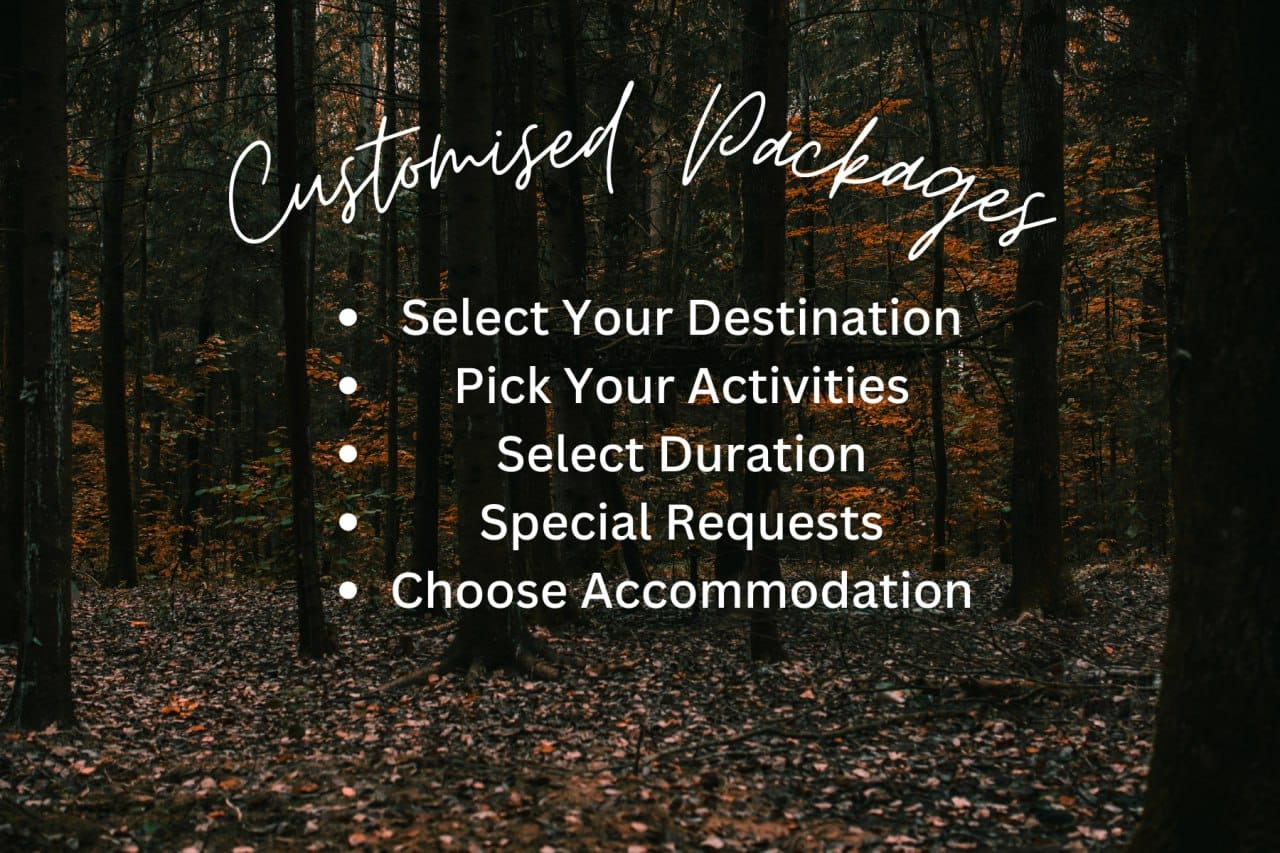 Customized Package