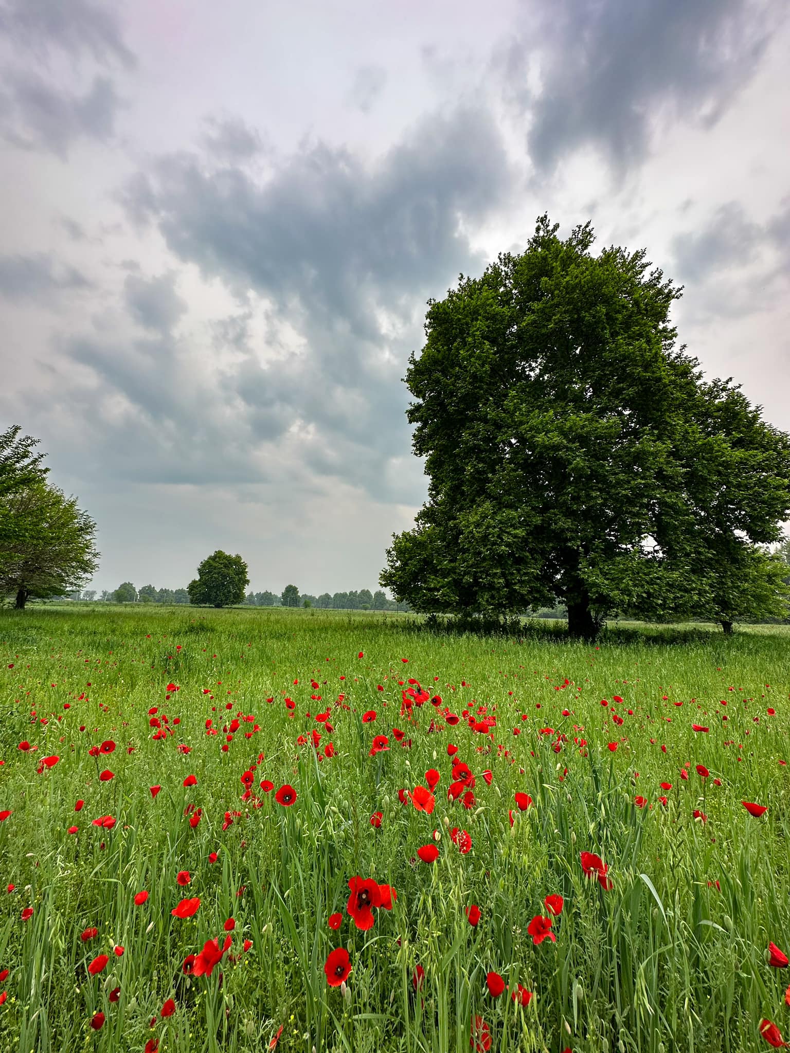 4-Day Kashmir Package